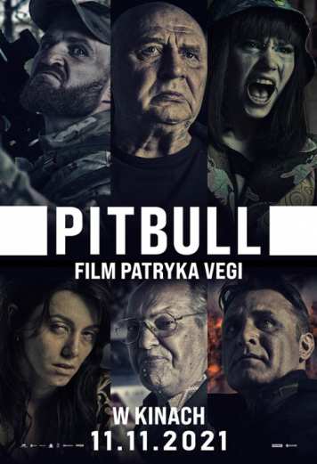 Plakat Pitbull